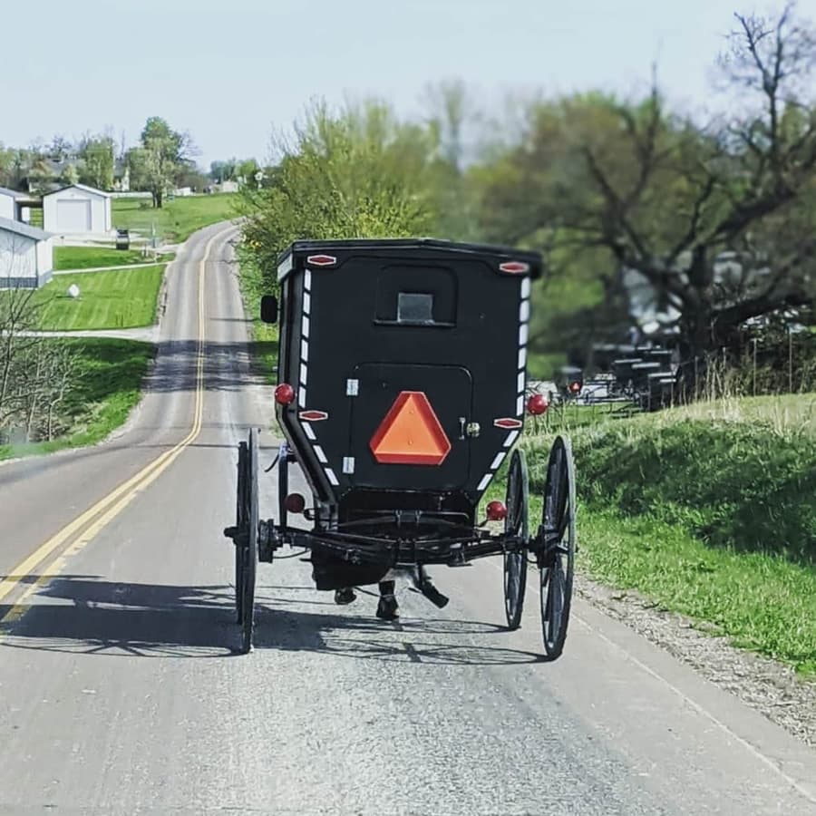 Rear view of an Amish buggy driving down the street with green grass
