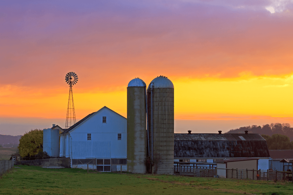Farm in setting sun, large white barn, 2 silos