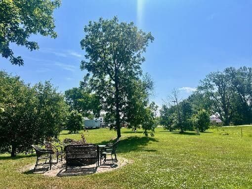 Outdoor seating area around the fire pit, green grass and trees surounding the area