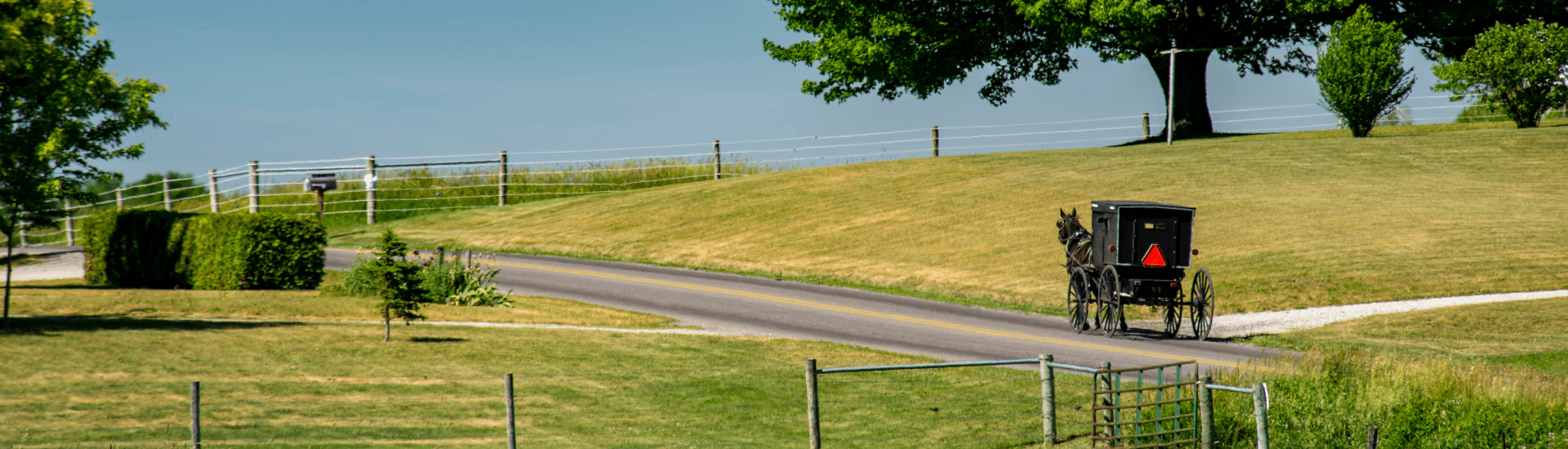 Amish black buggy with orange reflector driving down country road with grass and trees